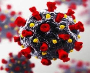 himachal-news-corona-positive-rate-reduced-to-15-83-in-himachal-pradesh-MAY-27-2021