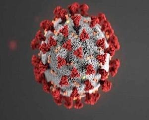 B.1.617 variant of Corona, first found in India, now has cases in 53 countries - WHO MAY 27 2021