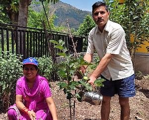 अर्की : विश्व पर्यावरण दिवस पर एनएसएस इकाई ने ऑनलाइन जागरूकता कार्यक्रम किया आयोजित 