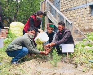 The people of Ribba and Rarang Panchayat of Kinnaur gave a message to save the environment by planting