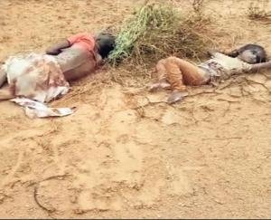 लोकडाउन की मार : 7 किलोमीटर पैदल चलने के बाद 6 साल की बच्ची की मौत , 60 साल की नानी भी बेसुध 