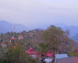 shimla-sunni-news-update-june-19-2021