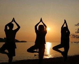 NEWS UPDATE HIMACHALYOGA DAY JUNE 20 2021