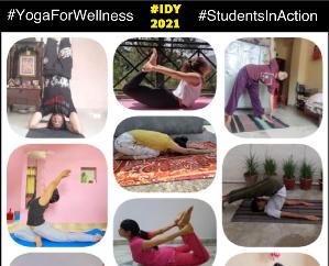 सोलन होमेओपेथी कॉलेज में ऑनलाइन माध्यम से मनाया गया योग दिवस