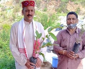 दाड़लाघाट : डॉ श्यामा प्रसाद मुखर्जी की पुण्य तिथि पर किया पौधरोपण 