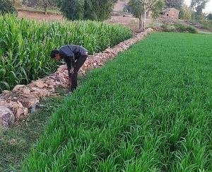 State Government promotes natural farming to double the income of farmers: CM