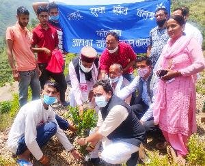 अर्की : डा.श्यामा प्रसाद मुखर्जी की जयंति पर किया गया पौधारोपण