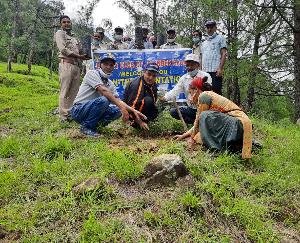 जोगिन्दर नगर : छापरोट में एसडीएम मेजर विशाल शर्मा ने रोटरी क्लब जोगिंदर नगर के साथ किया पौधरोपण