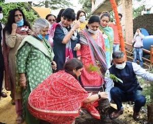 शिमला : राज्य रेडक्रॉस सोसायटी ने किया प्रदेश स्तरीय वन महोत्सव का शुभारंभ 