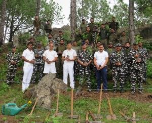 धर्मपुर: च्योग में मेघा वृक्षारोपण कार्यक्रम का आयोजन