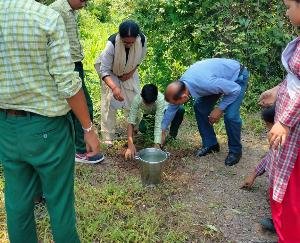 कुनिहार : राजकीय वरिष्ठ माध्यमिक पाठशाला पट्टाबरौरी में किया गया पौधरोपण