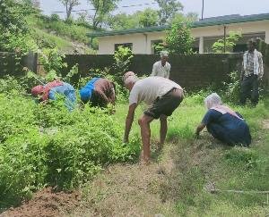 रक्कड़: भरोली-जदीद पंचायत में चलाया गया स्वच्छता अभियान