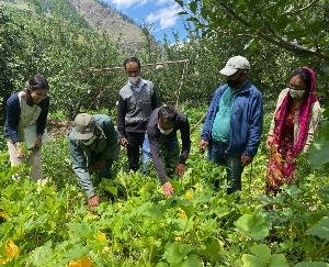 केलांग : प्राकृतिक कृषि पर आधारित कृषक भ्रमण कार्यक्रम का आयोजन