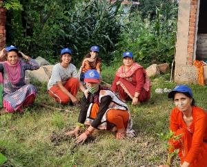 Plantation program organized in Dhundhan village