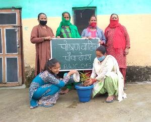 दाड़लाघाट : गांव छिब्बर में मनाया जा रहा राष्ट्रीय पोषण माह के अंतर्गत पोषण सप्ताह