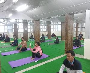 Yoga camp started in Himachal Pradesh University