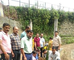 plantation -darlaghat