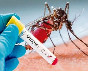 677 new dengue patients found in Bangalore in August, increased risk