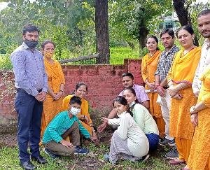 Mandi: Plantation program organized in DAV School