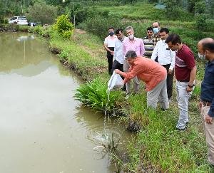 सोलन : मछली पालन शुरू करेगा नौणी विश्वविद्यालय, किसान और छात्र होंगे लाभान्वित