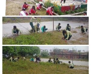 Under the cleanliness campaign, the playground of the school was cleaned