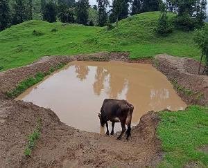 About 182 johads made in 33 panchayats of Rajgarh development block