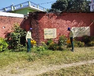 Dadlaghat: Plantation program organized in Government Senior Secondary School, Navgaon