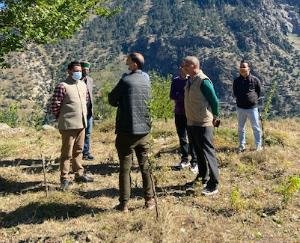 Nauni: High Density Cultivation of Apples Important for Increasing Productivity and Socio-Economic Status