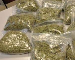 Rajgarh: On the basis of secret information, the police recovered 28 grams of charas from the house.