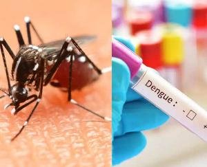 Dengue havoc continues in Haryana, five-year record in dengue cases broken