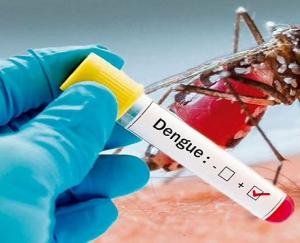 So far six people have died due to dengue in Delhi, total cases exceed 1530