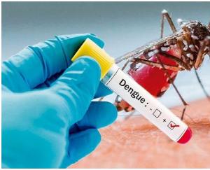 Union Health Ministry sent high level team to 9 states for control and management of dengue