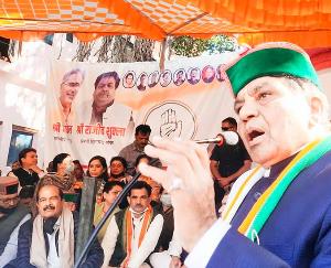Colonel Shandil became the strength of Congress in the by-election
