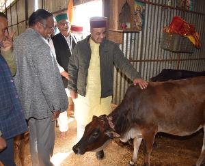 Solan: Protecting the mother cow is the moral responsibility of all of us - Dr. Rajiv Saizal