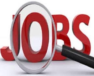 Solan: Campus interview to be filled on 26th November