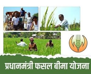 Nahan: Under the revamped Prime Minister's crop insurance scheme, the farmers of the district should get insurance for wheat, barley and garlic.