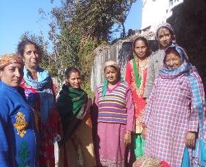 Dadlaghat: Cleanliness campaign launched in Chhibber village