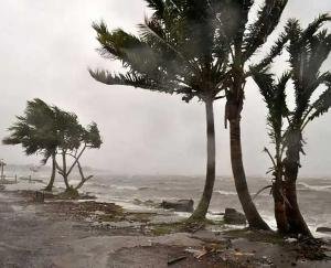 India beat Belgium 1-0 in Junior Hockey World Cup, made it to the semi-finals