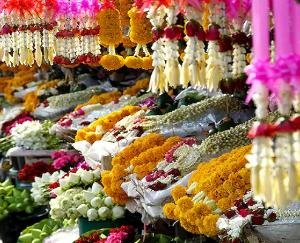 Himachal Pradesh: State's first flower market will start in Parwanoo from December 15
