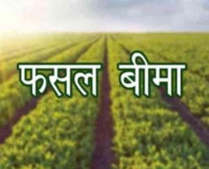 Solan: Last date of Pradhan Mantri Fasal Bima Yojana is 15th December