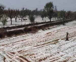 Snow-freezing winter season in Rajasthan, temperature reached minus 1.1