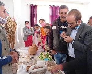 Seeds of extinct old cereals seen in Karsog