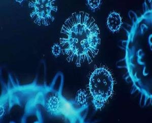 Omicron reached Himachal, virus confirmed in Mandi woman