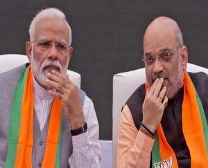 BJP will hold hybrid rallies in five states during assembly elections