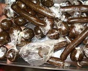 Karsog: 5.554 grams of charas recovered from school clerk