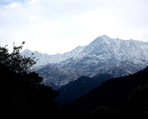 Dharamsala: Light snowfall in the Dhauladhar hill