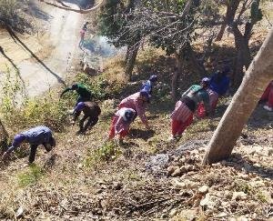 Various activities organized on the second day of NSS camp