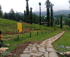 vaadi e bulah mein rajya ka pehla jaiv vividhata taiyaar vilupt hoti jadhi bootiyan ki hogi pechan