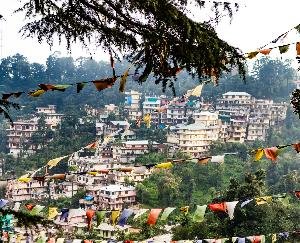 dharamshala shehar ko sundar bnane ke liye athak pryas kar rahi sarkar