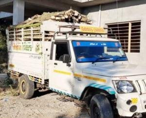 30 क्विंटल अवैध लकड़ी ले जा रहा ट्राला पकड़ा